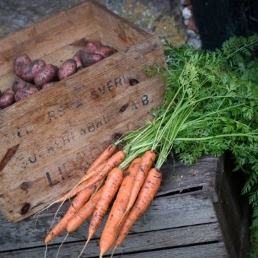Träff för matproducenter och självhushållare 21/10
