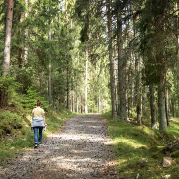 Projektstöd till utveckling av Ostkustleden