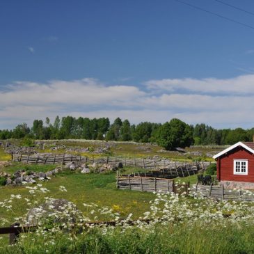 Tips: Bidrag för Friluftslivets år