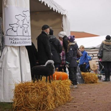 Företagsutveckling med en leadercheck!