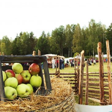 Odingsakademien-frukten av ett långt hållbarhetsarbete